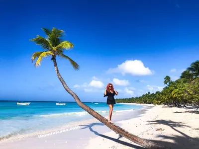 Остров Саона 2020: экскурсии, пляжи, цены, настоящие фото