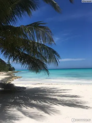 Саона, Доминиканская республика (Доминикана) - «Остров Саона без фотошопа!  Чудеса природы, которые обязательно нужно увидеть в своей жизни! + много  солнечных фотографий :) » | отзывы