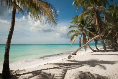 Остров Саона — райский уголок в Доминиканской Республике
