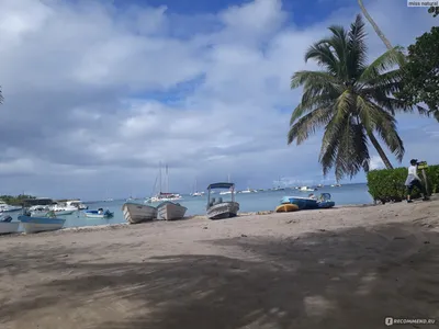 Саона, Доминиканская республика (Доминикана) - «Обязательно для посещения в  Доминикане!!! Самое красивое место!» | отзывы
