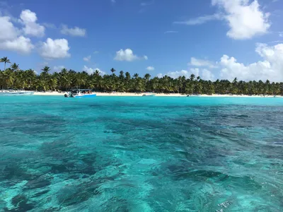 Лучшие пляжи Доминиканы – белый песок и лазурная вода