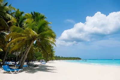 Остров Саона в Доминикане 🌴: особенности отдыха 🌞