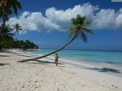 Саона, Доминиканская республика (Доминикана) - «Остров сказка, остров  мечта)))» | отзывы