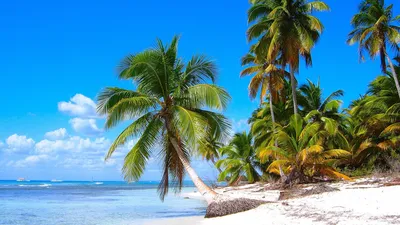 Доминикана - Остров Саона | Турнавигатор
