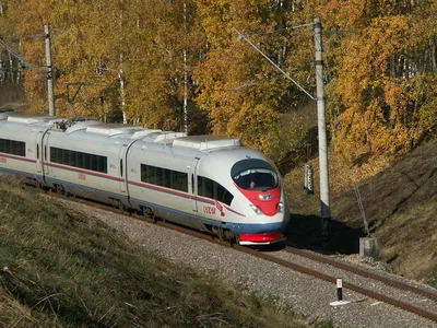 Компания Siemens больше не будет обслуживать «Сапсаны» и «Ласточки». Что  это значит? Поезда перестанут ходить? Цены вырастут? | Sobaka.ru