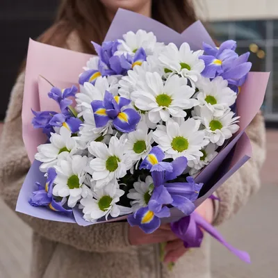 Букет из ирисов и кустовых хризантем размера S - Доставка цветов в  Санкт-Петербурге | Весна - сеть цветочных магазинов
