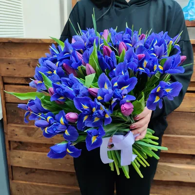 Купить букет ирисов с фиолетовым тюльпаном - доставка цветов | VIAFLOR