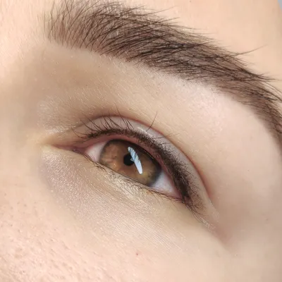 Перманентный макияж глаз: что это, особенности техник, стоит ли делать