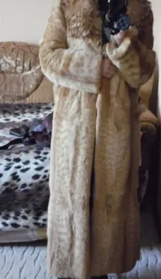Натуральная шуба из камышового кота Греция, куртка в подарок!: 4 000 грн. -  Шубы, полушубки Житомир на Olx