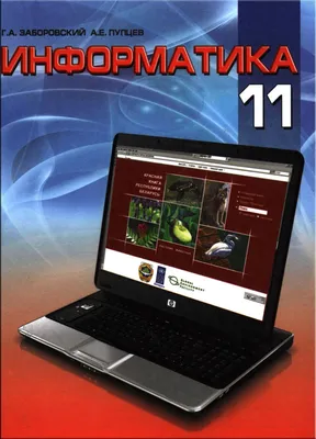 Информатика 11 класс учебник by Иван Матяш - Issuu