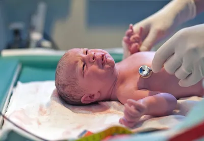 Правда ли, что у малыша, рожденного в 7 месяцев больше шансов выжить, чем у  рожденного в 8? | Генетика и медицина | Дзен