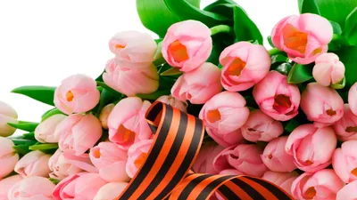Обои Тюльпаны на 9 мая, картинки - Обои для рабочего стола Тюльпаны на 9 мая  фото из альбома: (цветы)
