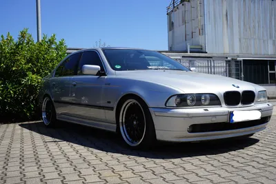 Файл:BMW E39 сзади 20081125.jpg — Викисклад