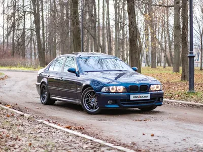 I Bought This Stately BMW E39 5 Series From Our Secret Designer For $1500  And It's A Heck Of A Deal - The Autopian