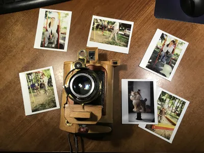 Обзор от покупателя на Картридж для камеры FUJIFILM Instax Wide (20  снимков) — интернет-магазин ОНЛАЙН ТРЕЙД.РУ