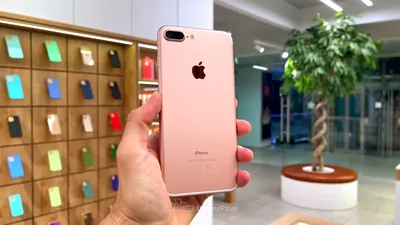 Iphone 7 розовое золото фото