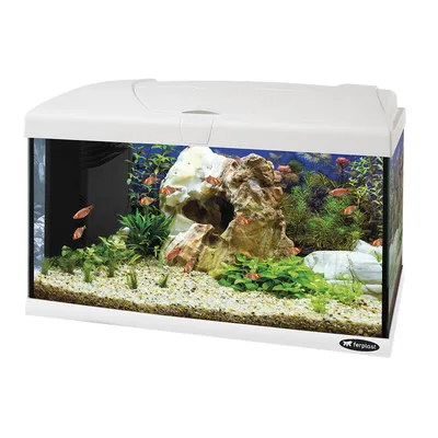 Стеклянный аквариум со светодиодной лампой на 60 литров Ferplast Capri 60  LED (Ферпласт Капри 60 ЛЕД) - купить в Запорожье, заказать онлайн, лучшая  цена!