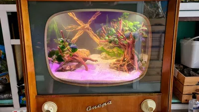 Телевизор Опера трансформиран в аквариум! - YouTube