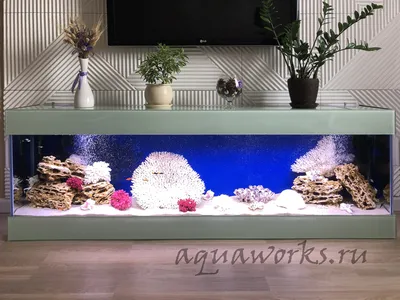 Напольные аквариумы: оригинальный дизайн, портфолио работ AquaWorks.ru