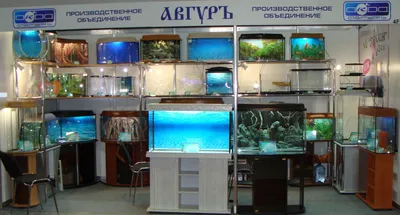 Авгуръ-Аква». Производство и оптовая продажа аквариумов