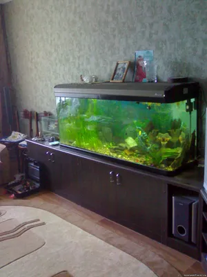 тумба под аквариум и телевизор