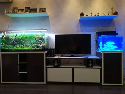 Unik nano reef - Мой маленький морской аквариум - Морской аквариум. Форумы  ReefCentral.ru