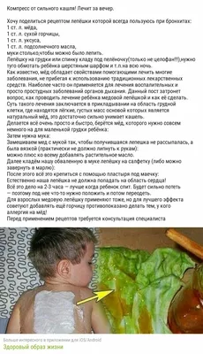 Pin by \"GLYANOCKA\" 🖌️🎁🎀🎨🧵🪡 on Разное | Fruit, Food, Cantaloupe
