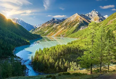 Отдых на Алтае летом 2023 – куда поехать и как отдохнуть
