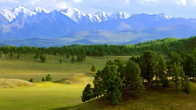 Алтайские горы: где находятся на карте России, фото, легенды, отзывы  туристов