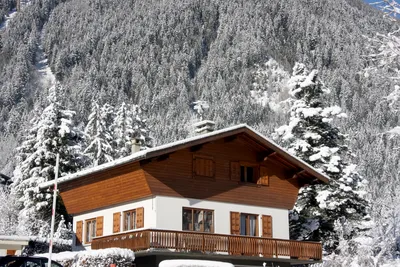 Дом в Альпах — House in the Alps