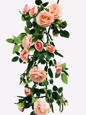 Купить Искусственная роза ампельная, Розовый оптом в Украине: цена,  описание, характеристики › Flowers Decor