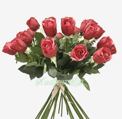 Искусственные розы Джессика 25 шт. красный 72H - Купить в интернет магазине  КонвентАрт