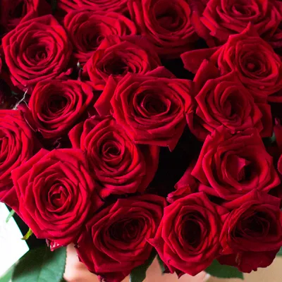25 роз Ред Наоми в СПб дешево. Заказать свежие розы недорого с доставкой.  Купить розы в Санкт-Петербурге в интернет магазине. Доставка роз 24 часа