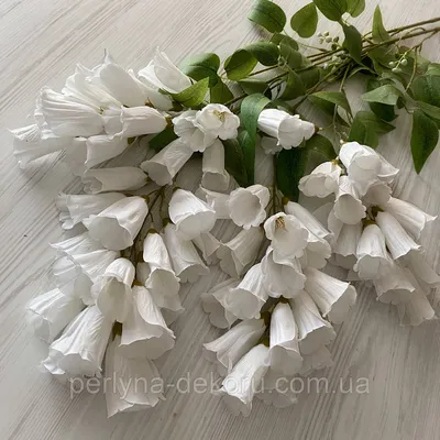 Искусственные Ампельные Цветы Кампсиса Белые VK 010 — Купить Недорого на  Bigl.ua (1568760356)