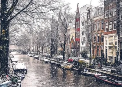 Заснеженный Амстердам: удивительные фото - Korrespondent.net