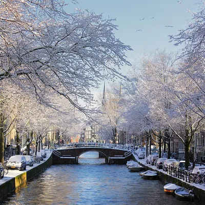 Голландия зимой - фото и картинки: 70 штук