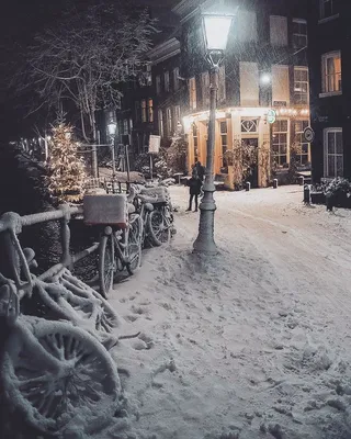 Нидерланды в снегу: фотограф показал, как Амстердам превратился в зимнюю  сказку