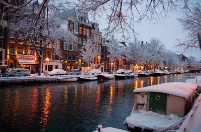 Зимний Амстердам - 46 фото