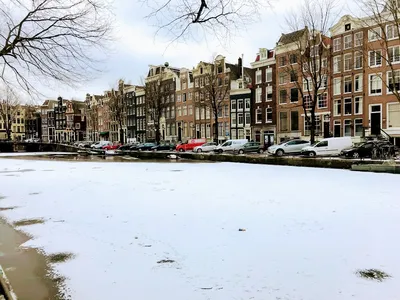 Зимний отдых в Нидерландах: куда поехать, что посмотреть, чем заняться,  цены.