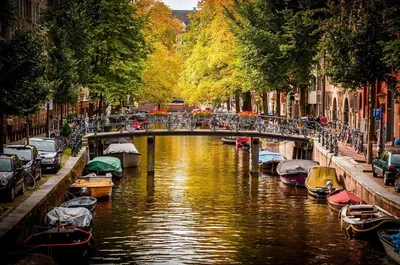 катание на коньках на каналах в амстердаме, нидерланды зимой замерзли  каналы в амстердаме Редакционное Стоковое Изображение - изображение  насчитывающей зодчества, дом: 210603794