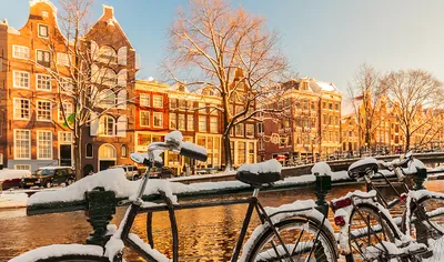 Амстердам зимой — Жители катаются на коньках по каналам — фото — последние  новости / НВ
