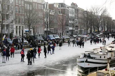 Обои деревья, мост, река, улица, Зима, Снег, Амстердам картинки на рабочий  стол, раздел город - скачать
