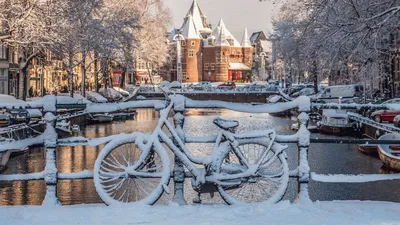 Зимний отдых в Нидерландах: куда поехать, что посмотреть, чем заняться,  цены.