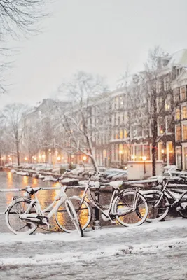 Снегопад в Амстердаме: фоторепортаж о том, как это было | Амстердам On Air