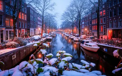 Зимний Амстердам - 63 фото