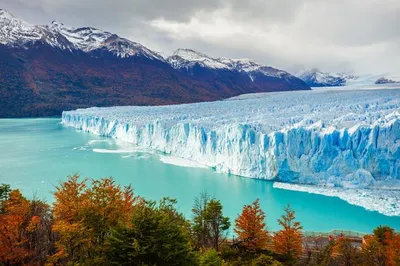 Фото Ледника Перито-Морено (78 фото)