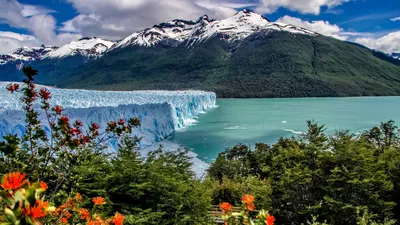 Ледник перито-морено - это ледник, расположенный в национальном парке  лос-гласиарес в провинции санта-крус, аргентина. это одна из самых важных  туристических достопримечательностей аргентинской патагонии. | Премиум Фото