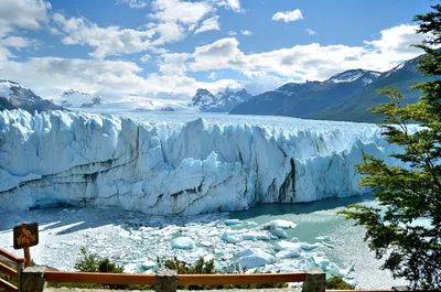 Бесплатно к леднику Перито-Морено, Аргентина. - Ёжкин Кот