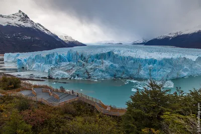 10 фактов о Перито-Морено Единственном леднике в мире, который непрерывно  растёт 18 000 лет | Морячок Расскажет | Пульс Mail.ru