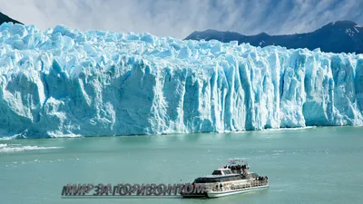 Вид на ледник Перито-Морено и озеро Аргентино в национальном парке  Лос-Гласиарес, Патагония, Аргентина — Вода, растения - Stock Photo |  #181528048